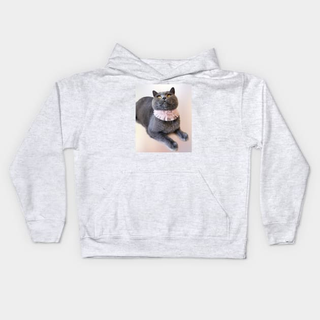 British Shorthair Waiting for Something Yummy - Blue Cat Photograph Kids Hoodie by Marian Voicu